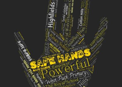 Safe Hands Programme 2019 (and ongoing)